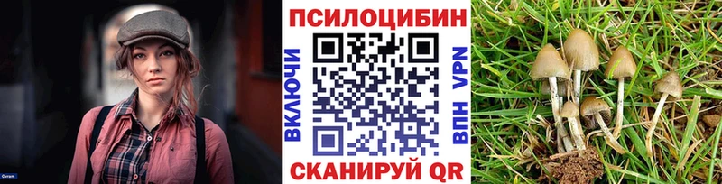 Галлюциногенные грибы GOLDEN TEACHER  Нижний Новгород 